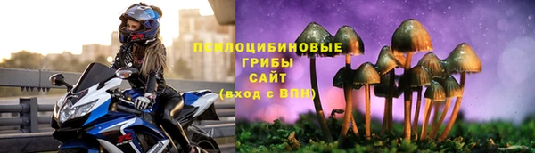 трава Вязьма