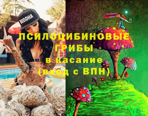 марки lsd Вяземский