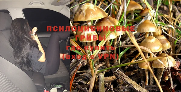 трава Вязьма